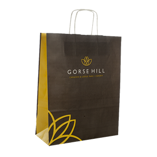 Full Colour Paper Carrier Bag Printed Blue Carrier Bag