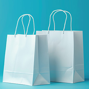 Plain Paper Bags