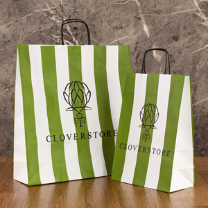 Twisted Paper Handle Bags